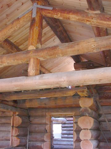 cupid dating website free