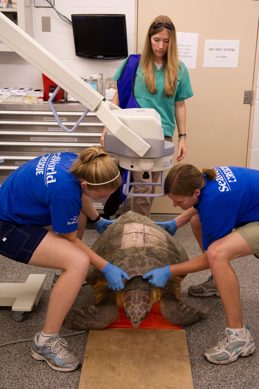 free online dating orlando